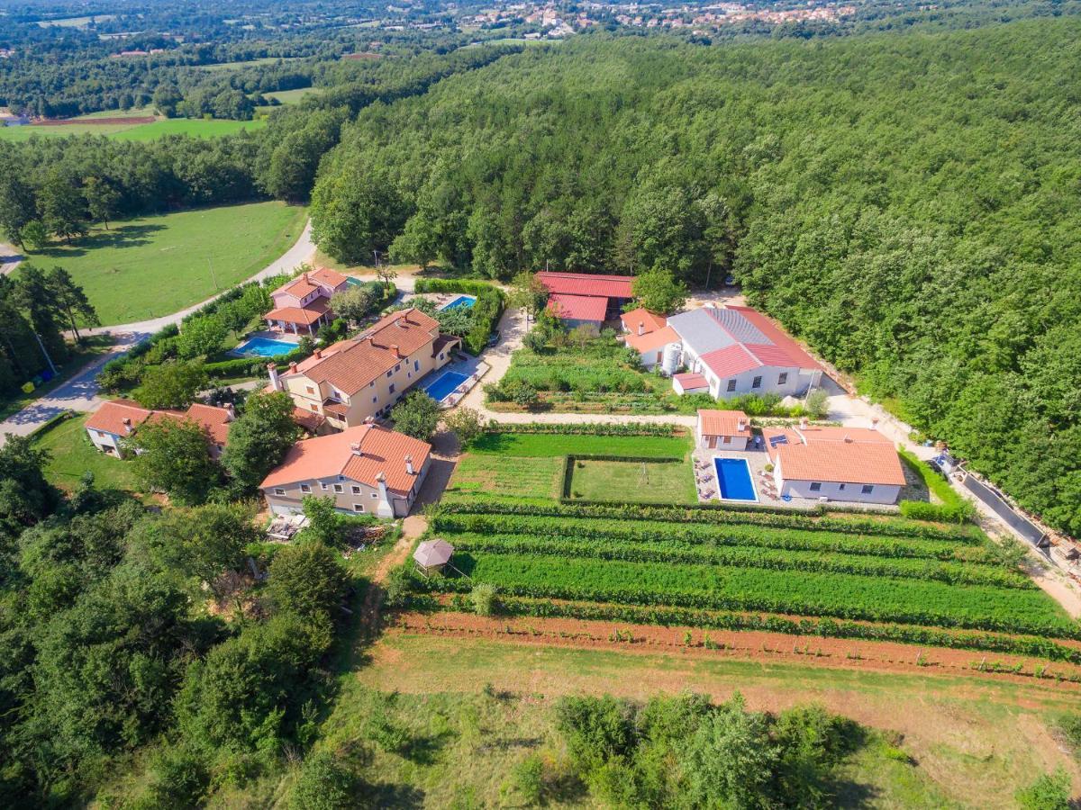 Holiday Home Jakov - Roj431 By Interhome Žminj Kültér fotó